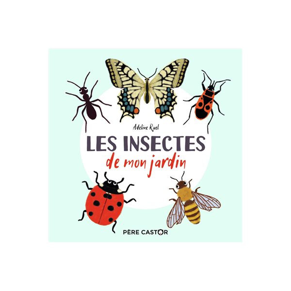 Les insectes de mon jardin