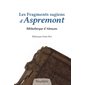 Les fragments sagiens d'Aspremont