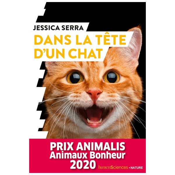 Dans la tête d'un chat