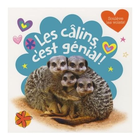 Calins, c'est génial