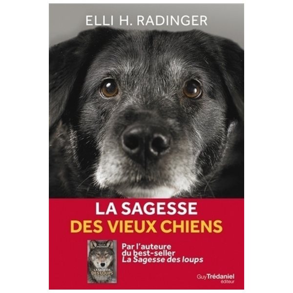 La sagesse des vieux chiens