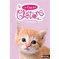 Caramel, Tome 1, Le club des chatons