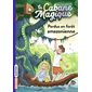 Perdus en forêt amazonienne, Tome 5, La cabane magique