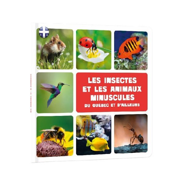 Les insectes et les animaux minuscules