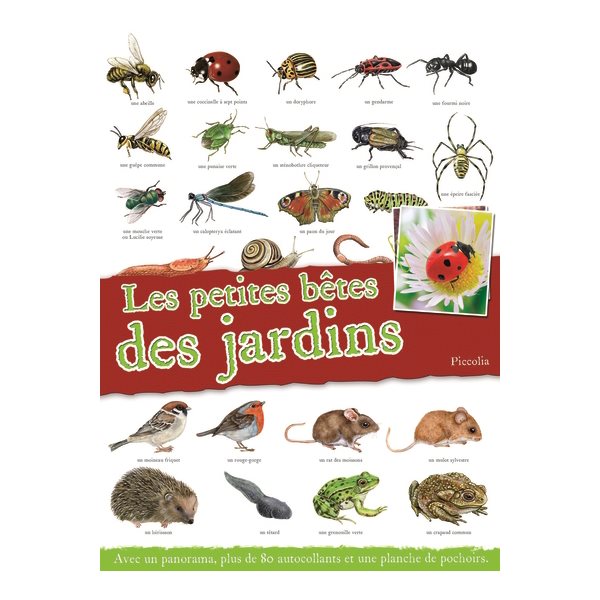 Les petites bêtes des jardins