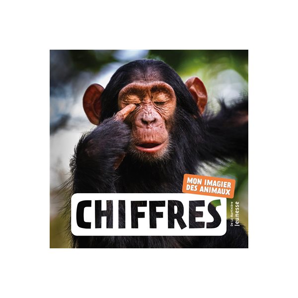 Chiffres