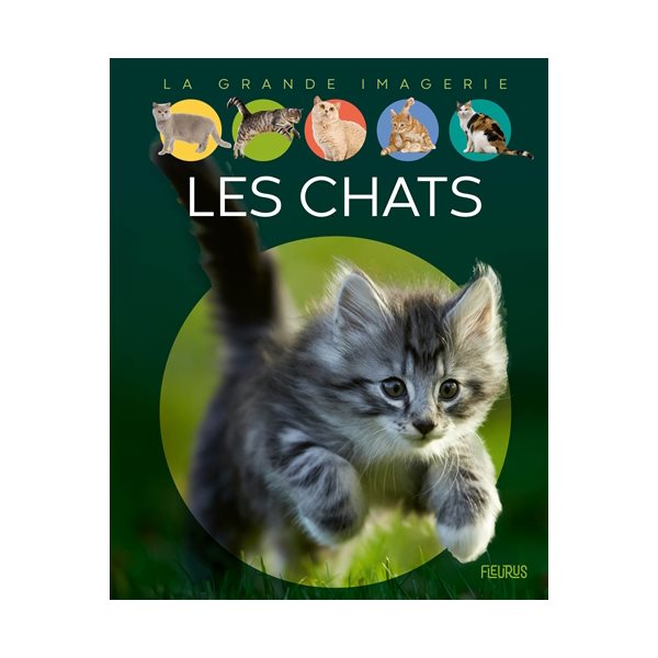 Les chats