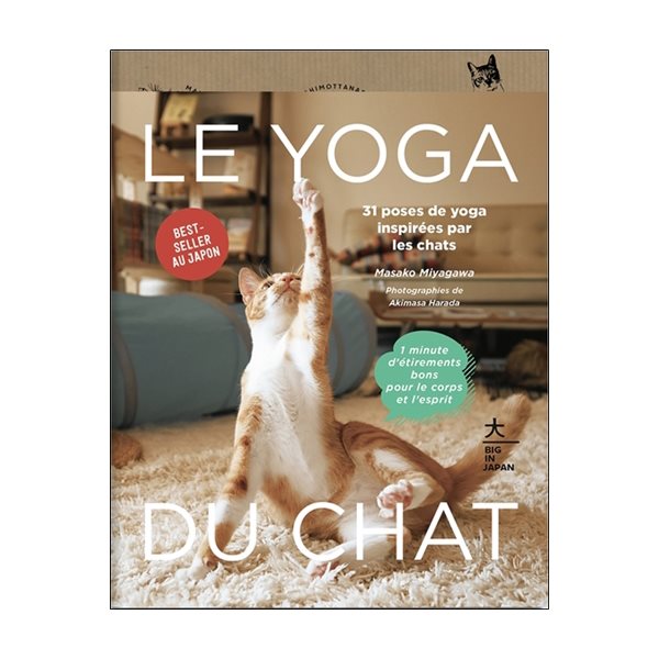 Le yoga du chat