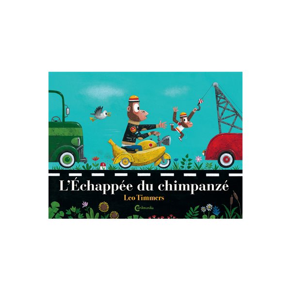 L'échappée du chimpanzé