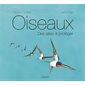 Oiseaux