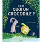 C'est quoi un crocodile ?