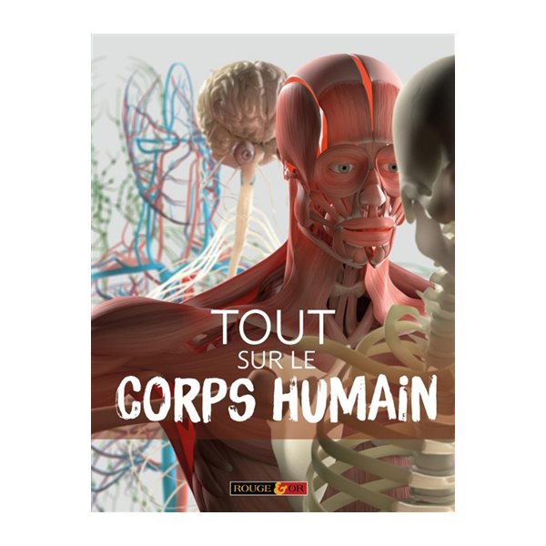 Tout sur le corps humain