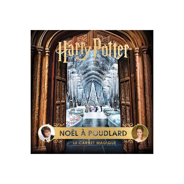 Harry Potter, Le carnet magique