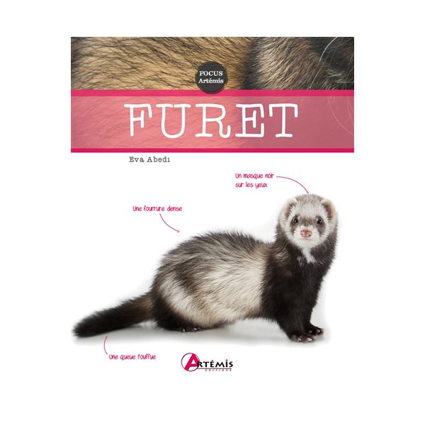 Furet