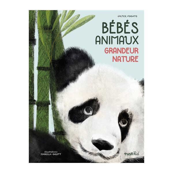 Bébés animaux