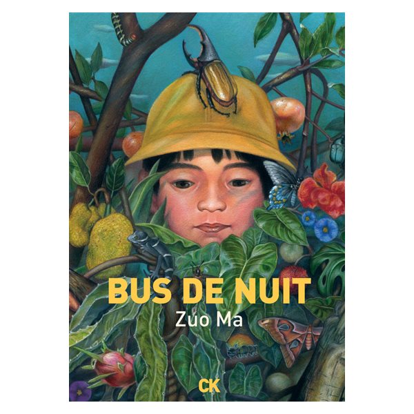 Bus de nuit