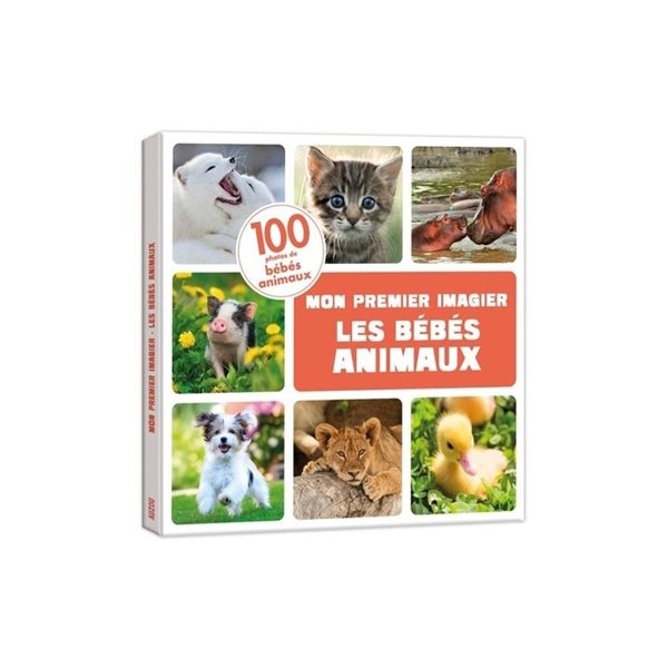 Les bébés animaux