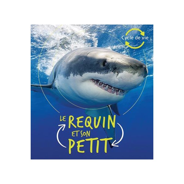 Le requin et son petit