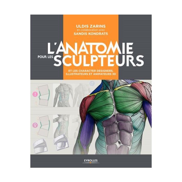 L'anatomie pour les sculpteurs