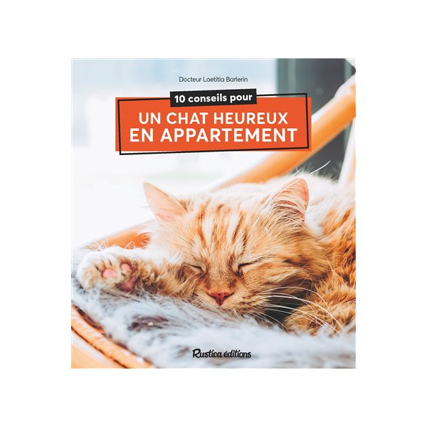 10 conseils pour un chat heureux en appartement