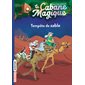 Tempête de sable, Tome 29, La cabane magique