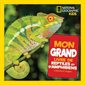 Mon grand livre de reptiles et d'amphibiens