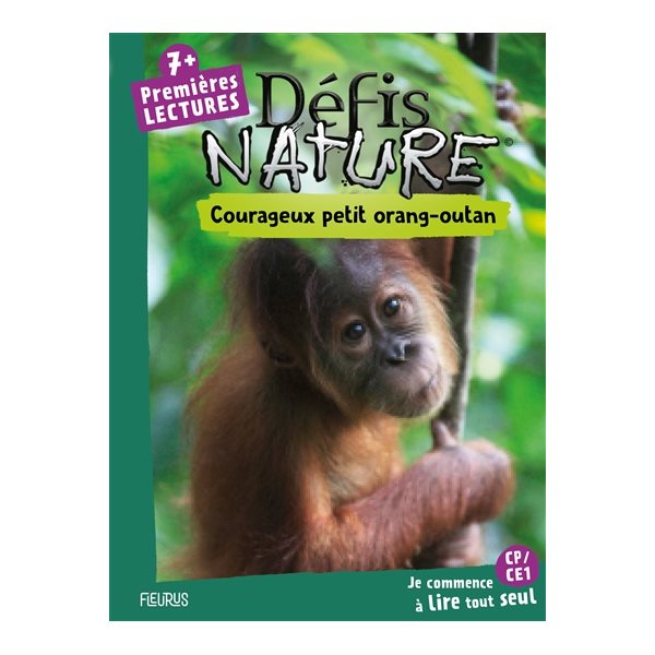 Courageux petit orang-outan