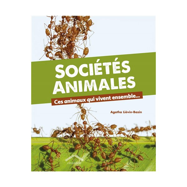 Sociétés animales