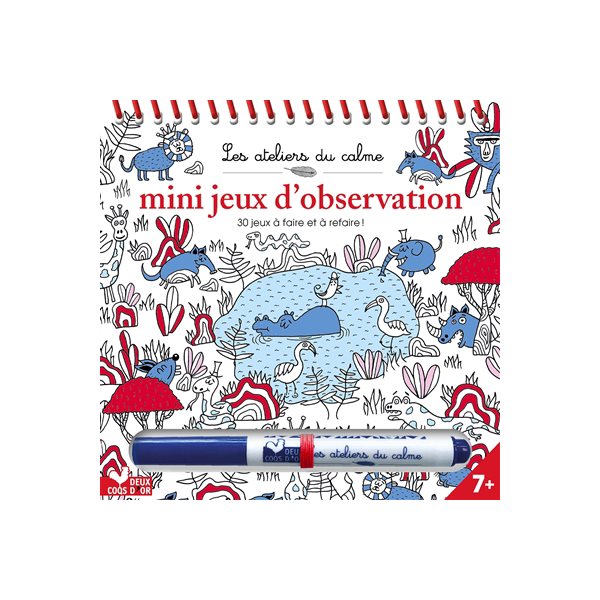 Mini jeux d'observation