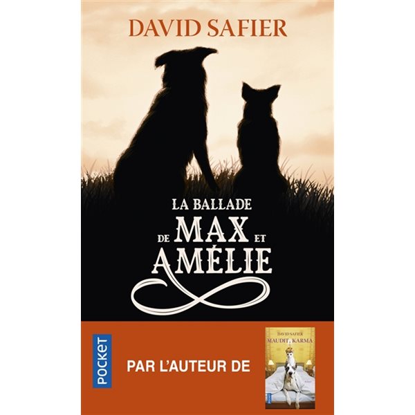 La ballade de Max et Amélie