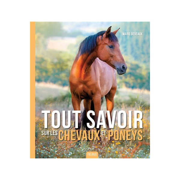 Tout savoir sur les chevaux et poneys