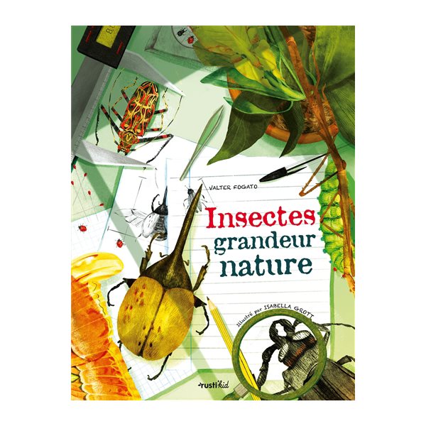 Insectes