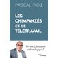 Les chimpanzés et le télétravail