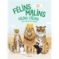 Félins malins