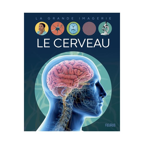 Le cerveau