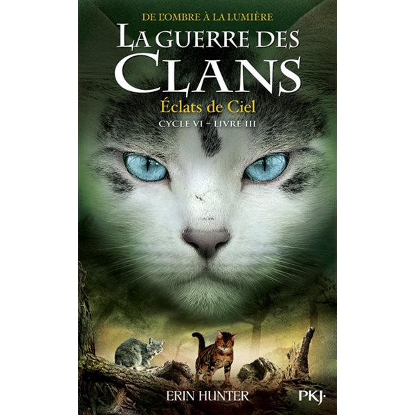 Eclats de ciel, Tome 3, La guerre des clans