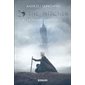 La tour de l'hirondelle, Tome 6, The witcher