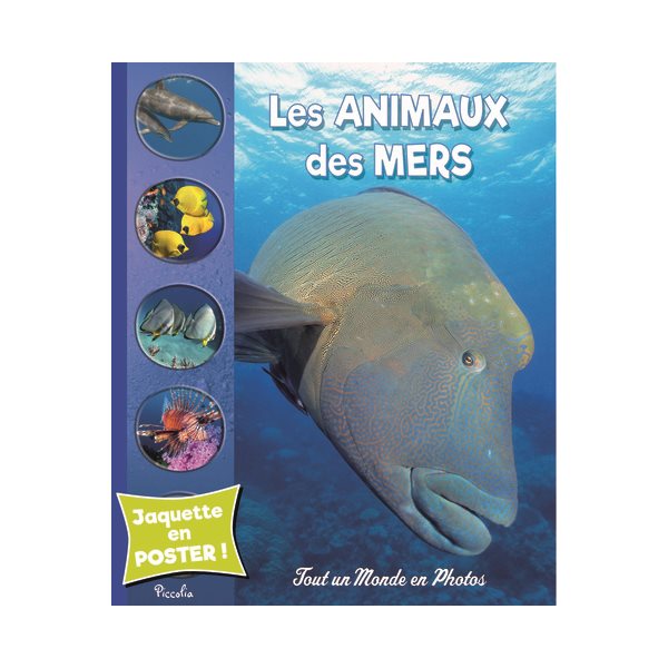 Les animaux des mers