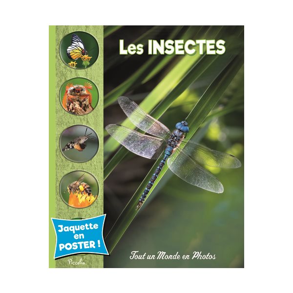 Les insectes