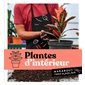 Plantes d'intérieur