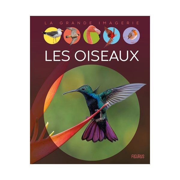 Les oiseaux