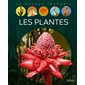 Les plantes