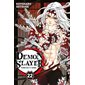 Demon slayer : Kimetsu no yaiba, Vol. 22