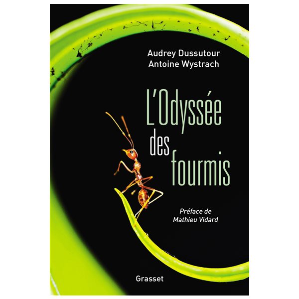 L'odyssée des fourmis