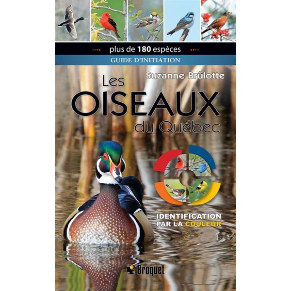 Les Oiseaux du Québec : identification par la couleur N. éd.