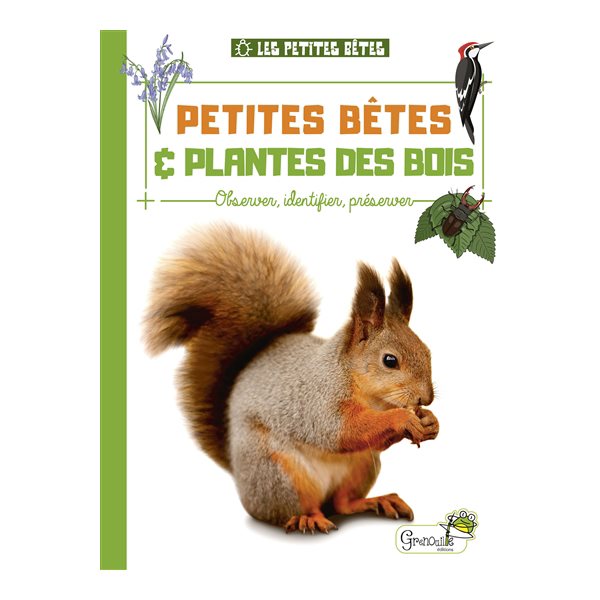 Petites bêtes & plantes des bois : observer, identifier, préserver