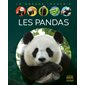 Les pandas