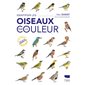 Identifier les oiseaux par la couleur