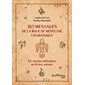 365 messages de la roue de médecine chamanique : un chemin initiatique au fil des saisons