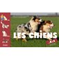 Les chiens de A à Z